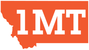 1mt